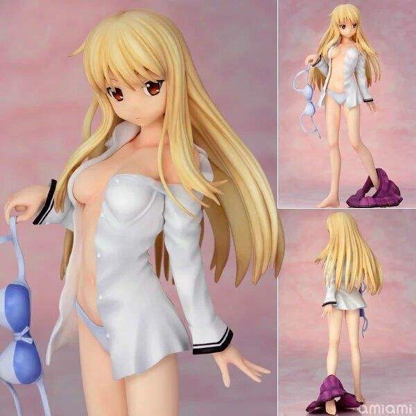 美女档案